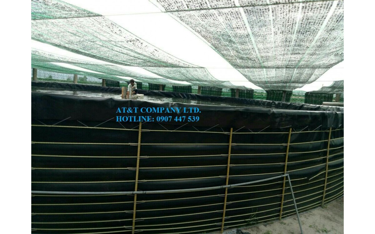 Ưu việt nu&ocirc;i t&ocirc;m trong ao tr&ograve;n nổi